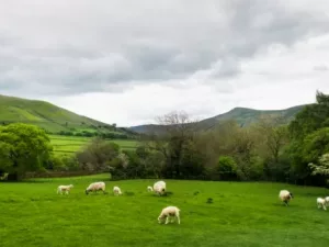 view-on-the-hills-near-edale-peak-district-nation-2021-08-28-12-47-53-utc